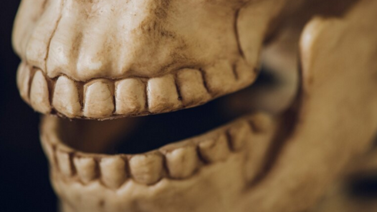 Зуб из окрестностей Сочи не принадлежал Homo sapiens или неандертальцу Зуб из окрестностей Сочи не принадлежал известн...