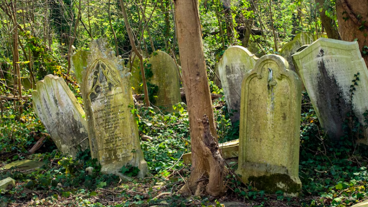 Археологи нашли в Польше мегалитическую гробниц...