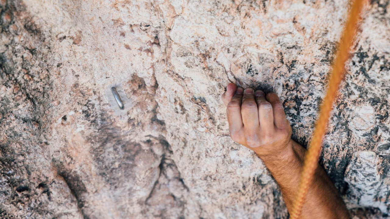 Министерство культуры Туниса сообщило об обнару...