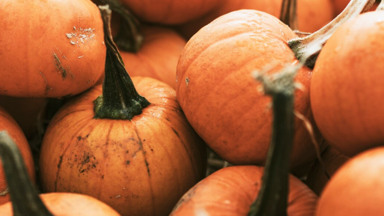 У нас тыква не залеживается, просто смешиваю ее с кефиром: по итогу – гора вкуснейших оладьев к завтраку Есть сочная тыква и желание чего‑то уютного к ч...