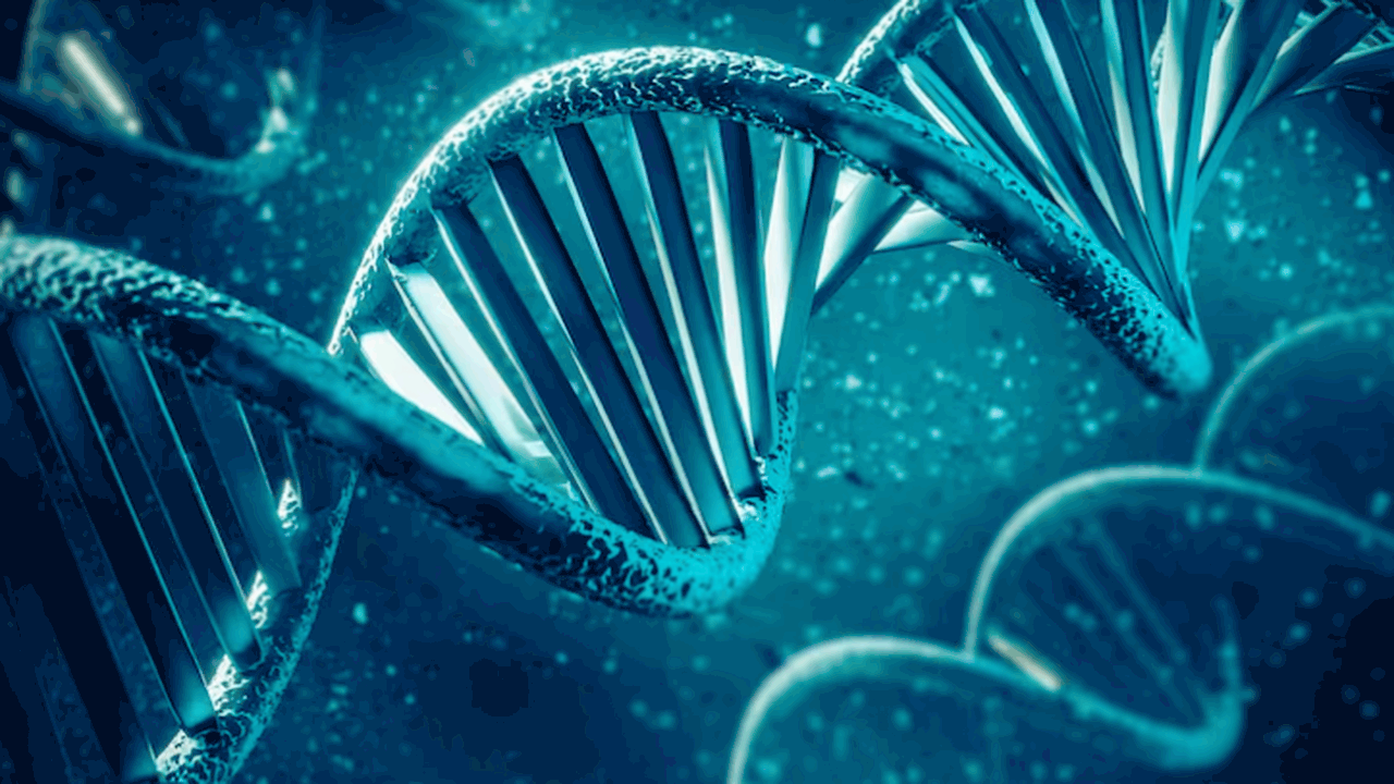 Исследование UT Southwestern показало, что горм...