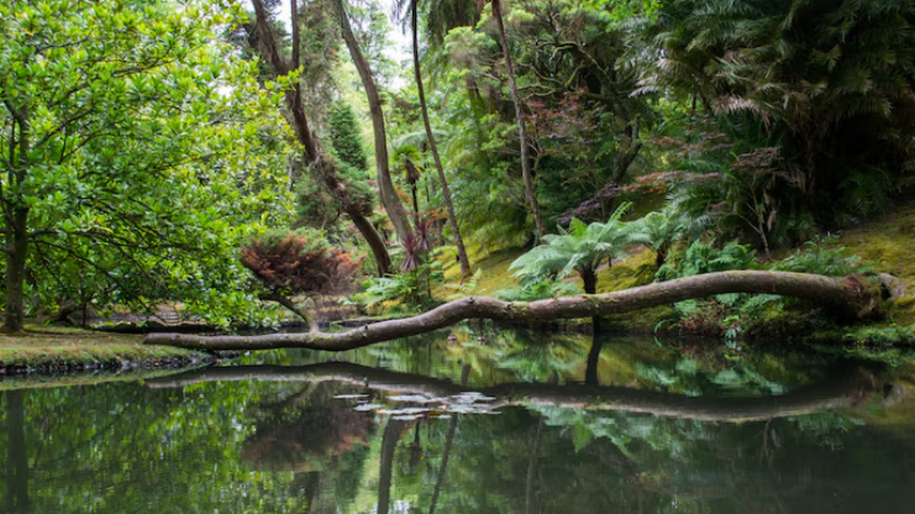 Анализ древней ДНК подтвердил, что Доггерленд б...