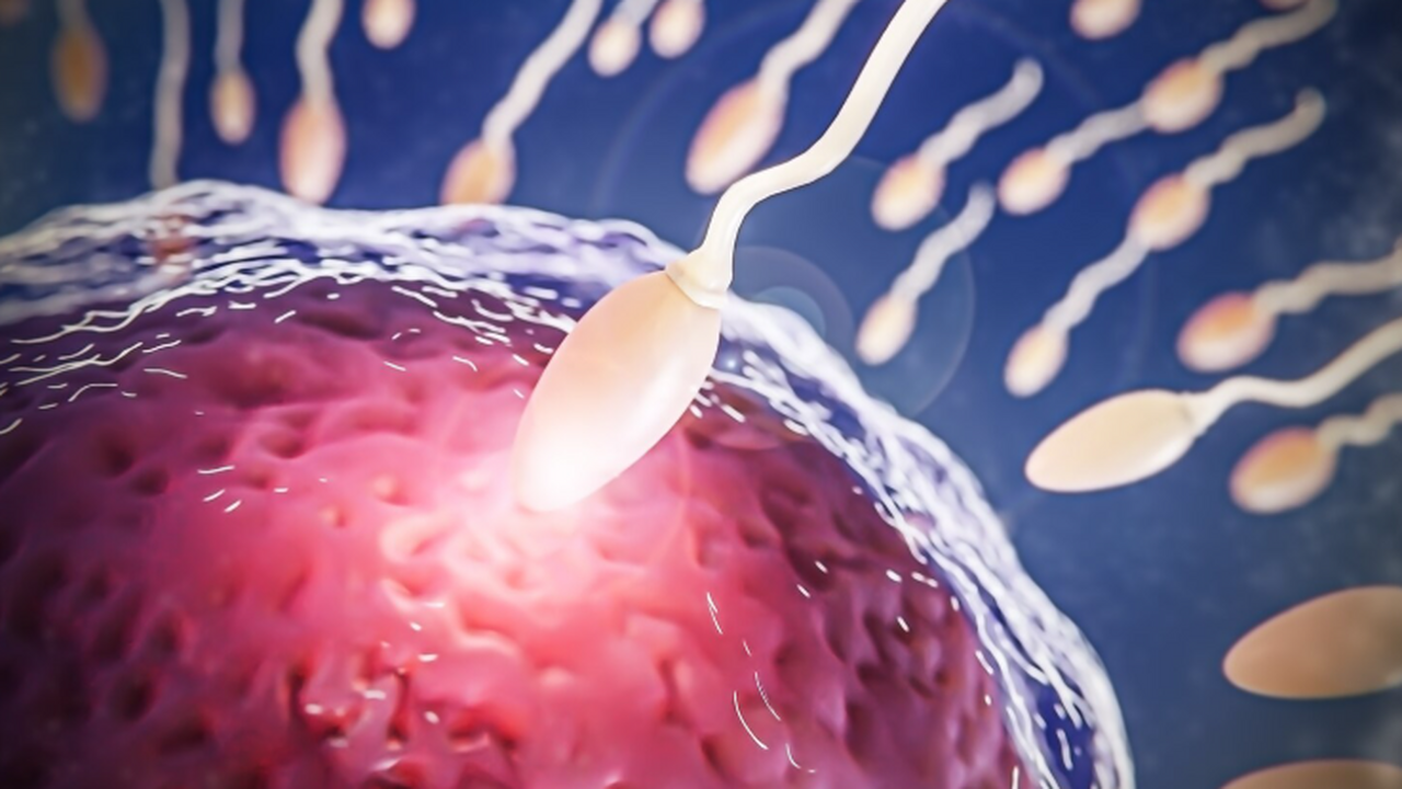 Представили экспериментальный способ омоложения...