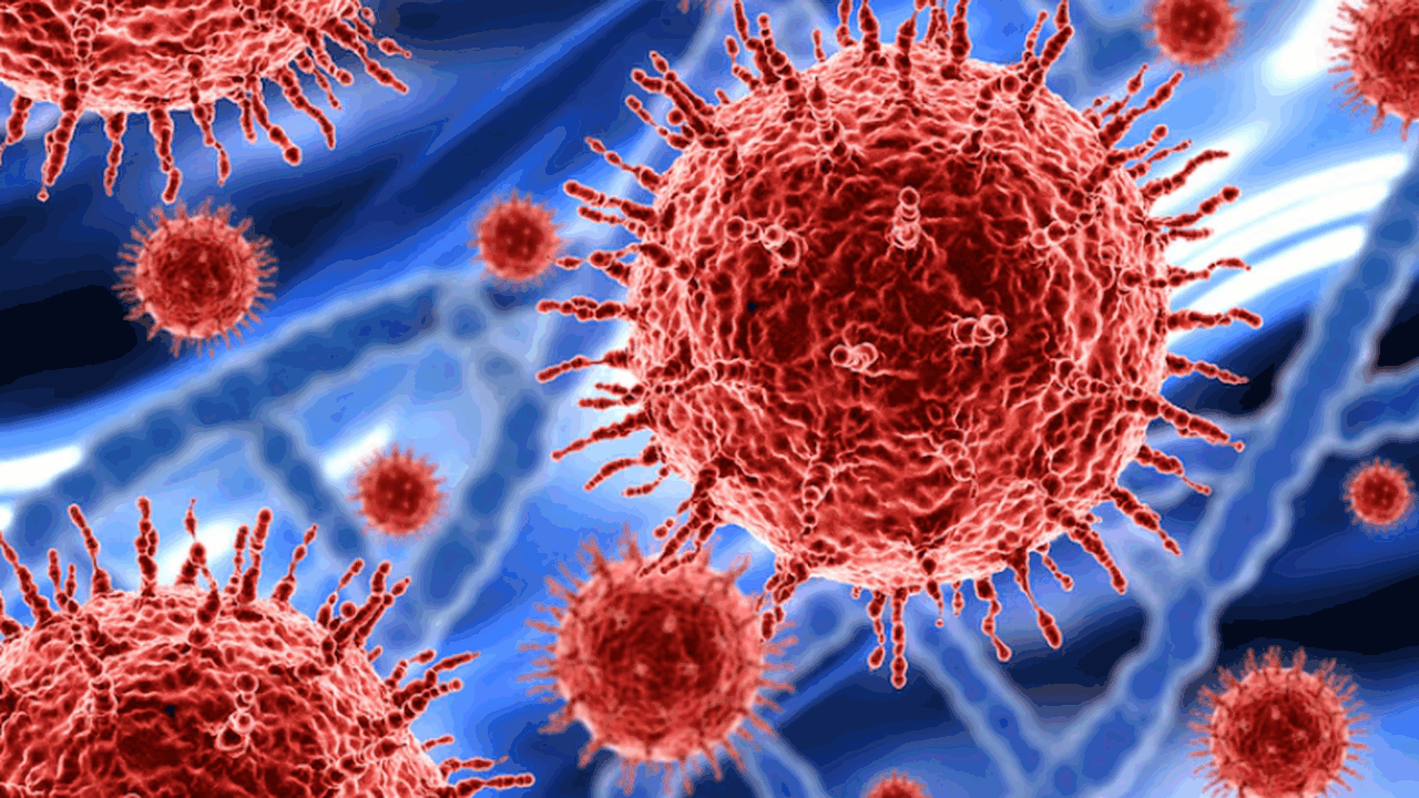 Исследование Journal of Experimental Medicine п...