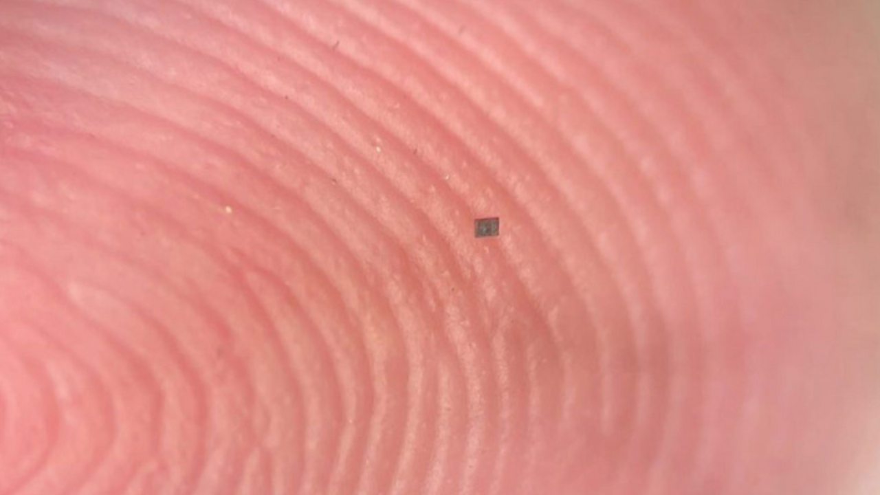 Созданы самые маленькие в мире автономные роботы размером с соль: детали Ученые сообщили о создании автономных наноробот...