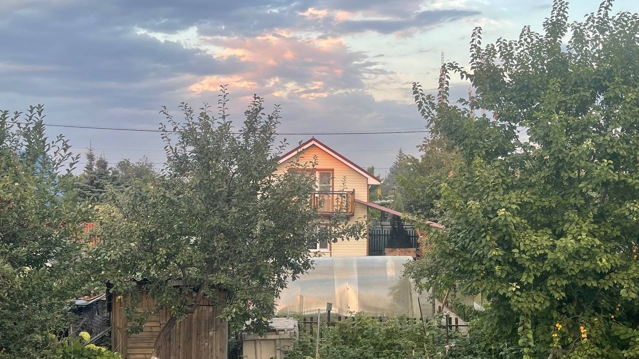 Агроном: правильное планирование посадок убережет от проблем с деревьями Агроном Суровцев дал рекомендации о том, где и ...