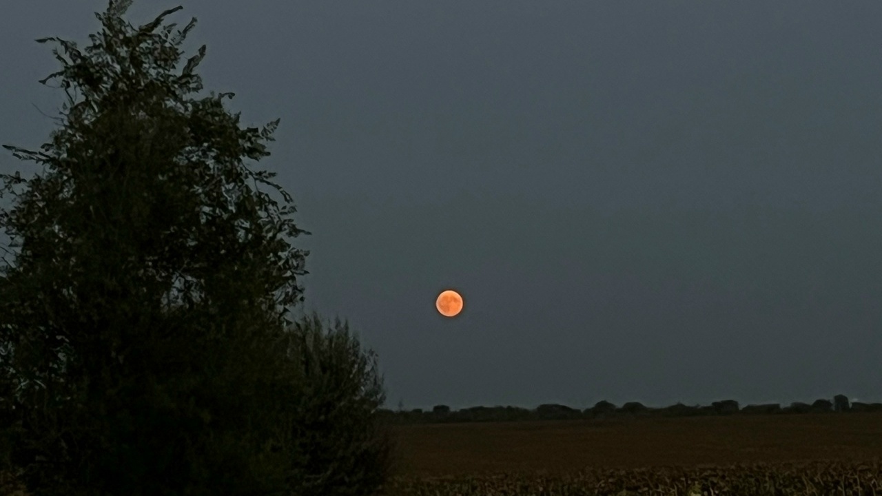 Отмечается снижение количества тревожных сообще...
