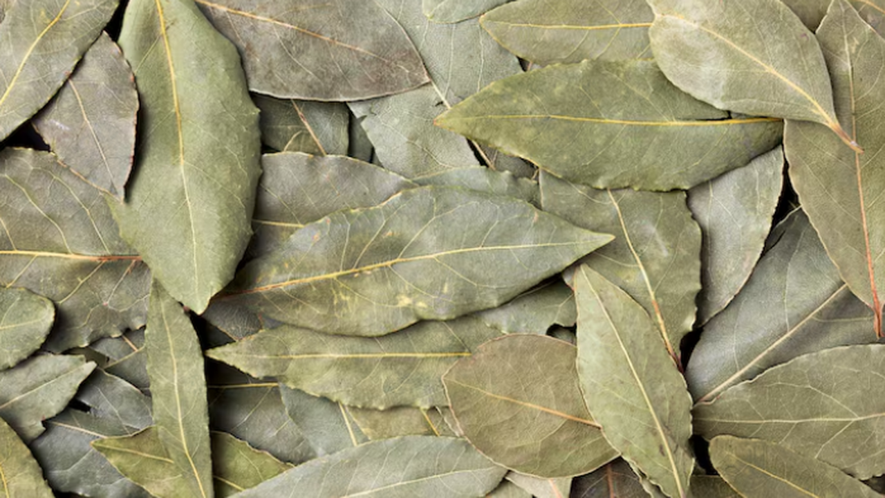 Лавровый лист — не только для супа: 5 неожиданн...