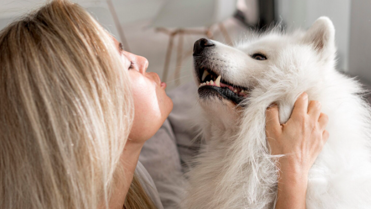 Протоиерей Александр Ильяшенко заявил, что крес...