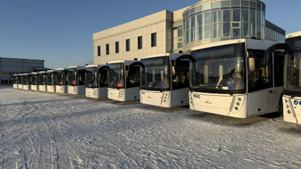 Они выйдут на муниципальные маршруты в ближайше...