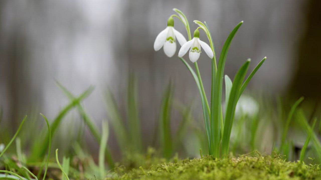 В городе Самаре населению была доведена информа...