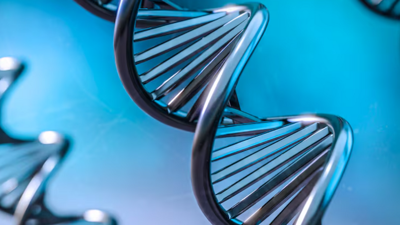 Исследователи восстановили геном риновируса из ...