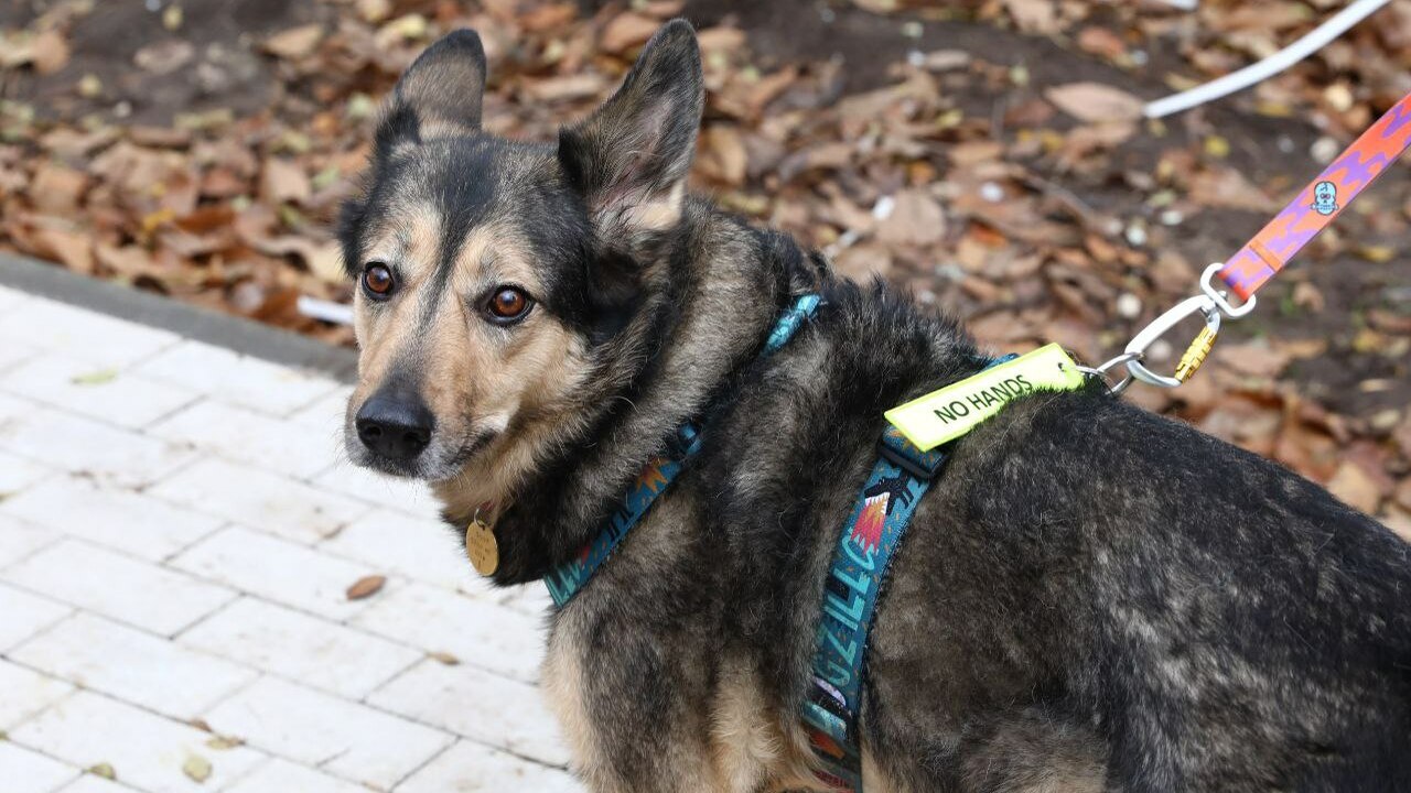 Иван Носков рассказал по итогам объезда Октябрь...