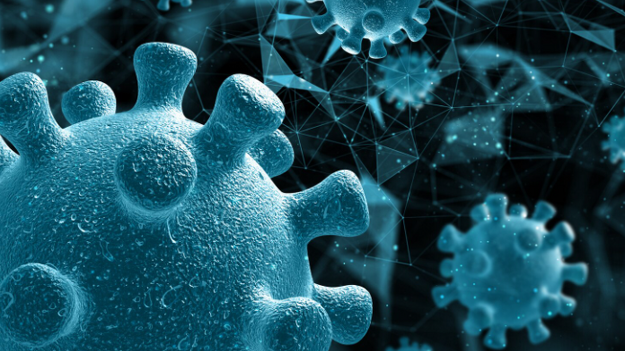 Томские учёные открыли новый род бактерий и впе...