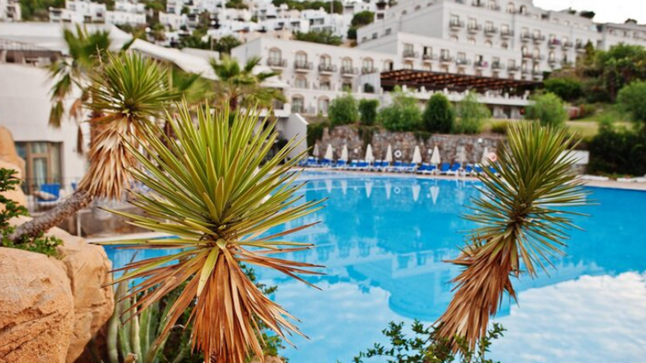 Забытые дети и вещи в турецких отелях: истории отельера Артура Бирсина Артур Бирсин рассказал ТАСС, как туристы оставл...