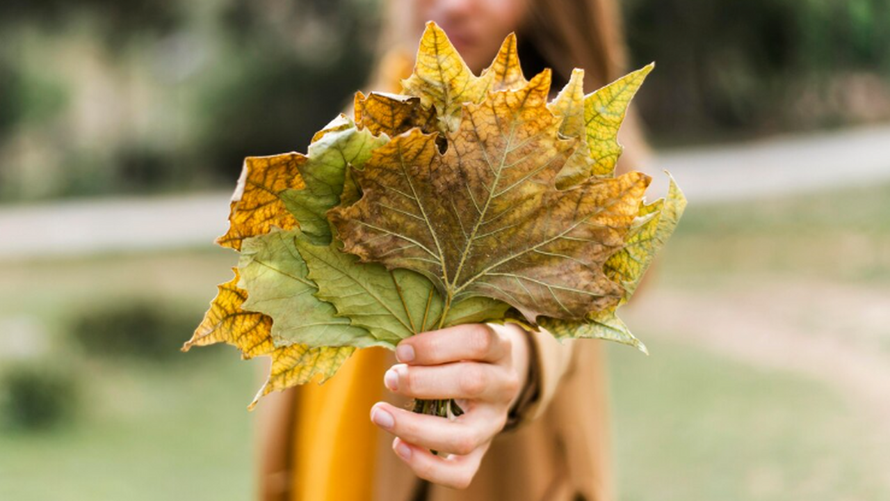 Научный руководитель Гидрометцентра России Рома...