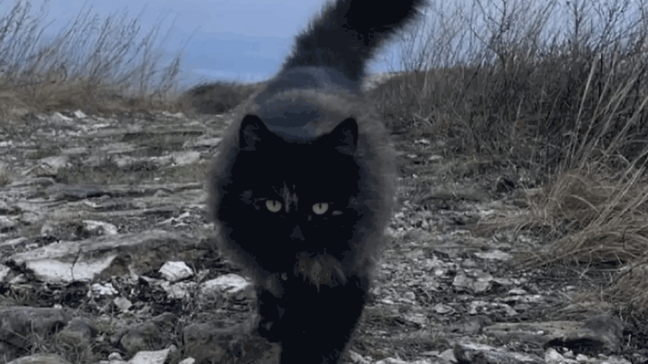 На Молодецком кургане, который находится в Жигу...