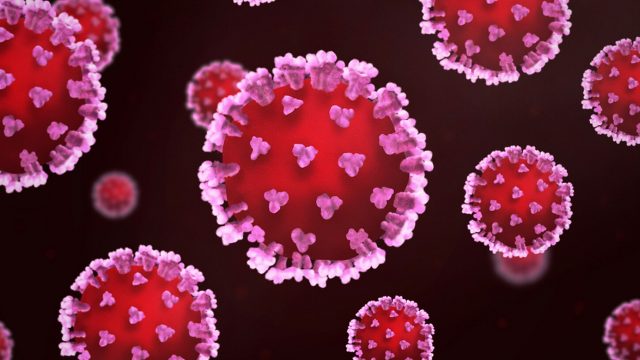 Команда генетиков заново проанализировала ДНК д...