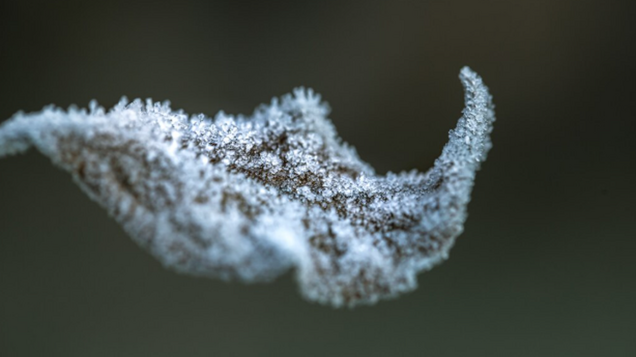 Ближайшие дни принесут резкий контраст по стран...