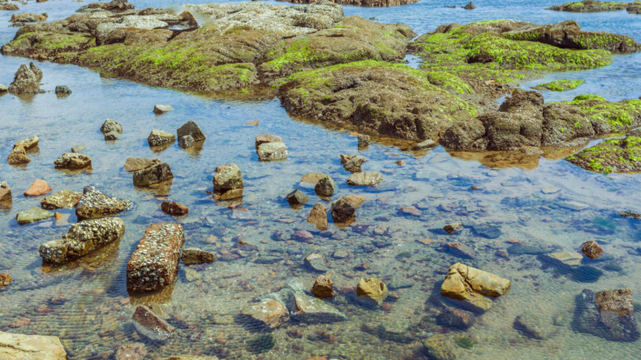 Атлантическая меридиональная циркуляция замедля...