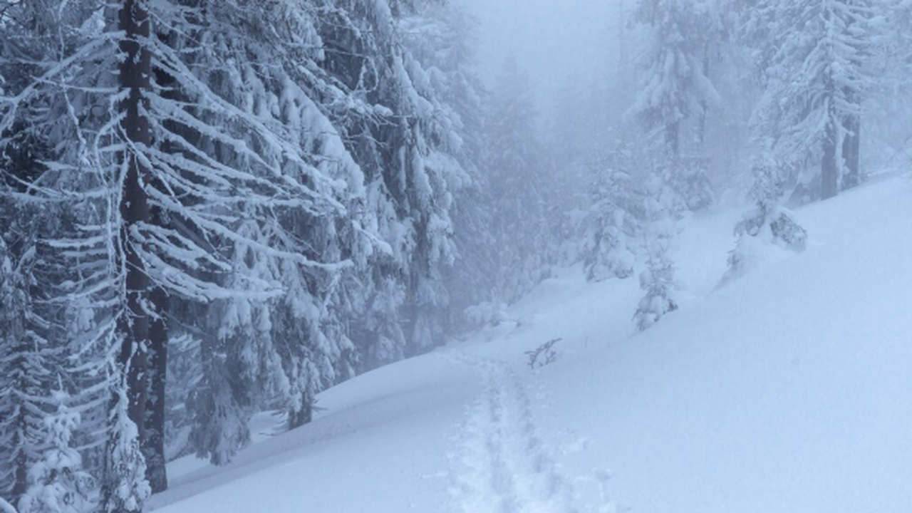 Главный специалист центра погоды Фобос Михаил Л...