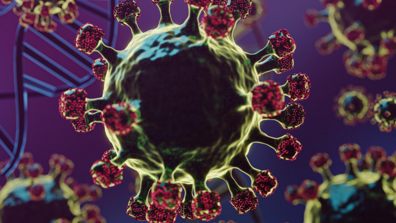 Исследование показало, что коронавирус использу...