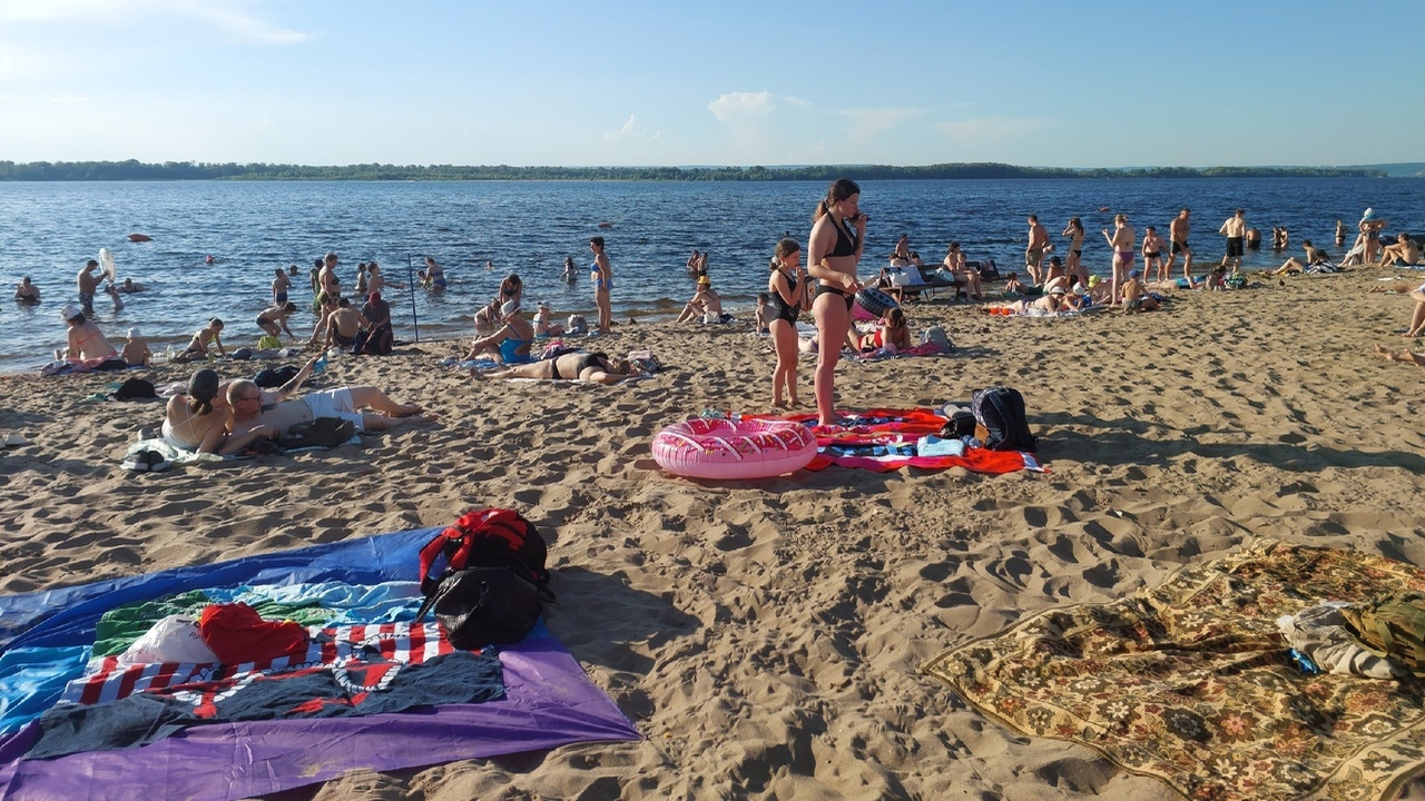 Три из них впервые перейдут из категории «диких...