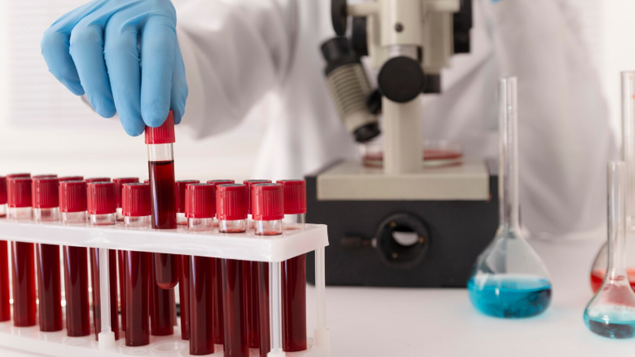 Российское правительство высказалось в поддержк...