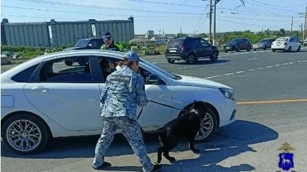 В Самарской области завершили расследование уго...