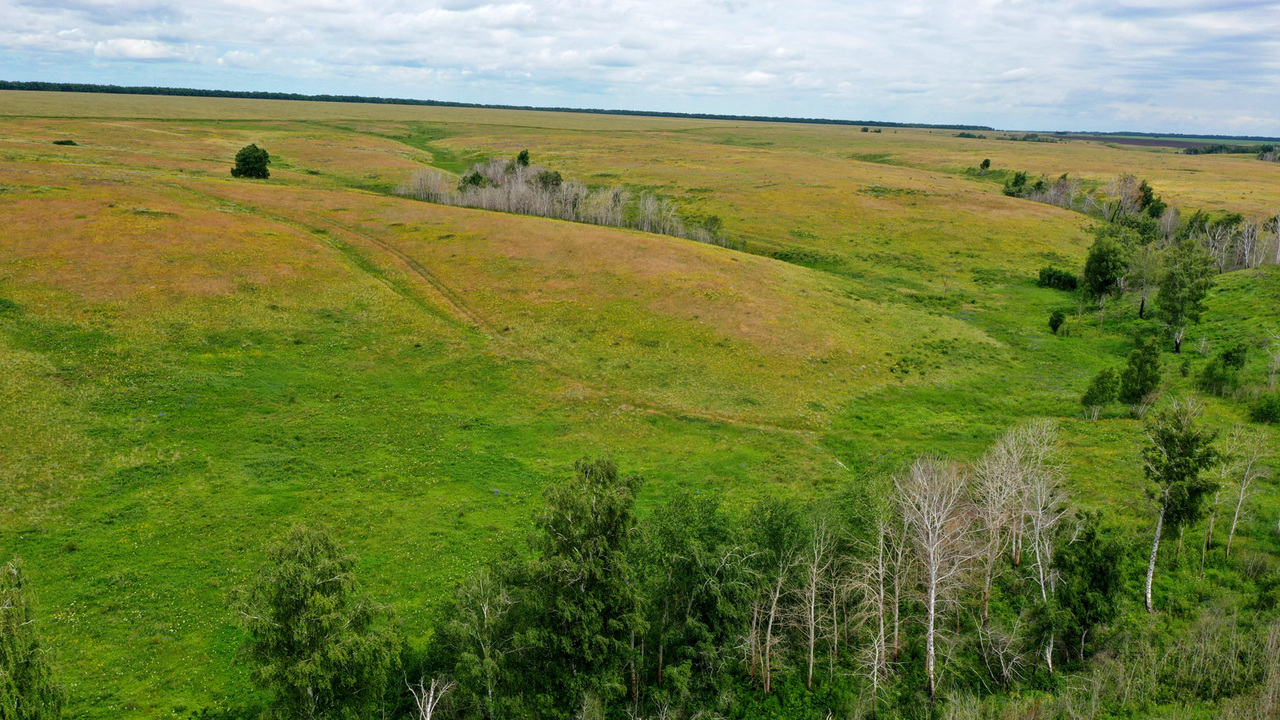 Ещё 60 памятников природы региона под двойной защитой Губернатор Самарской области Вячеслав Федорищев...