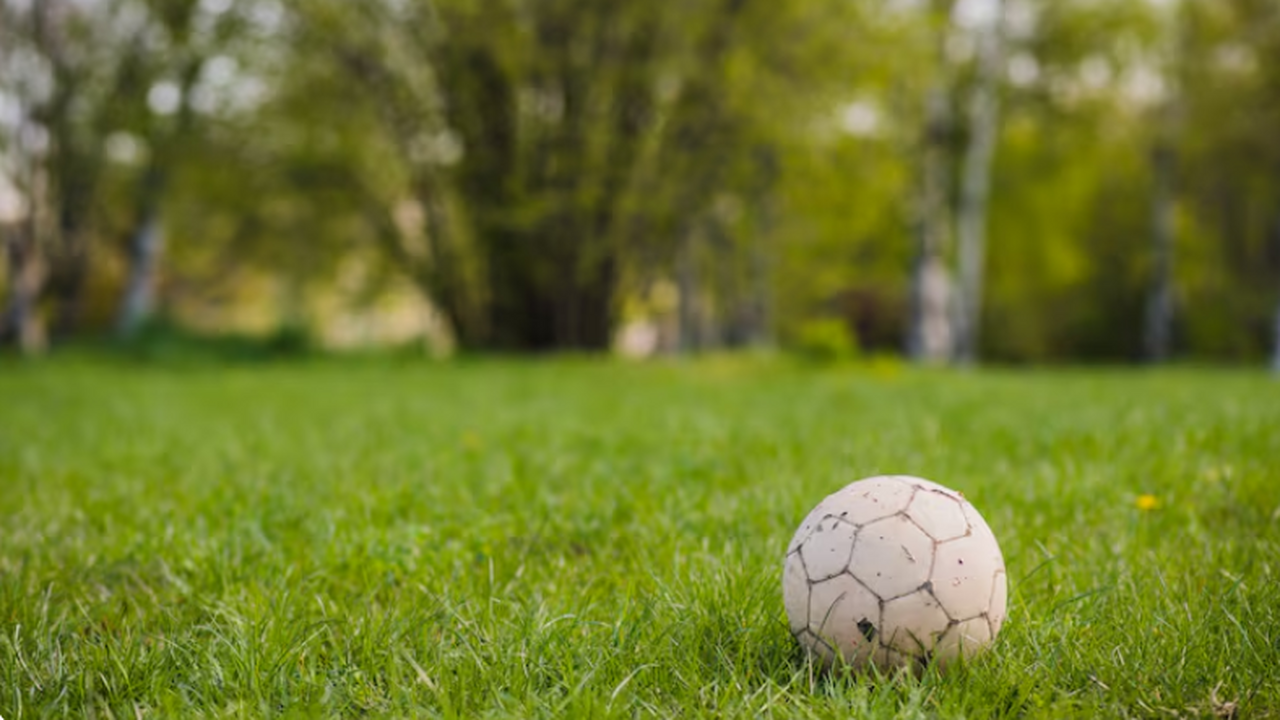 Защитник «Сараево» Ренато Гойкович рассказал, ч...