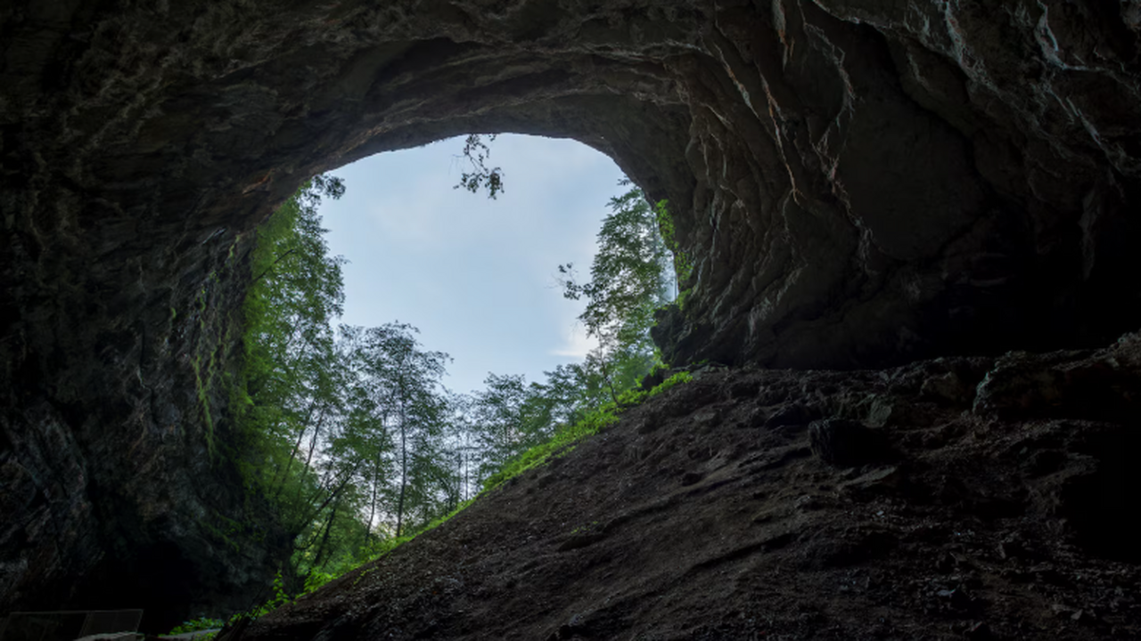 Live Science: более 111 тыс. пауков сплели одну сеть площадью 106 м² Учёные сообщили о самой крупной из известных со...