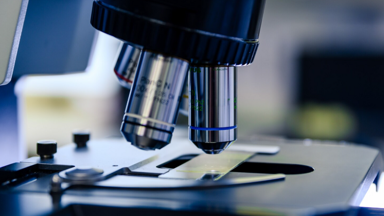 Австралийские исследователи создали антитела, к...