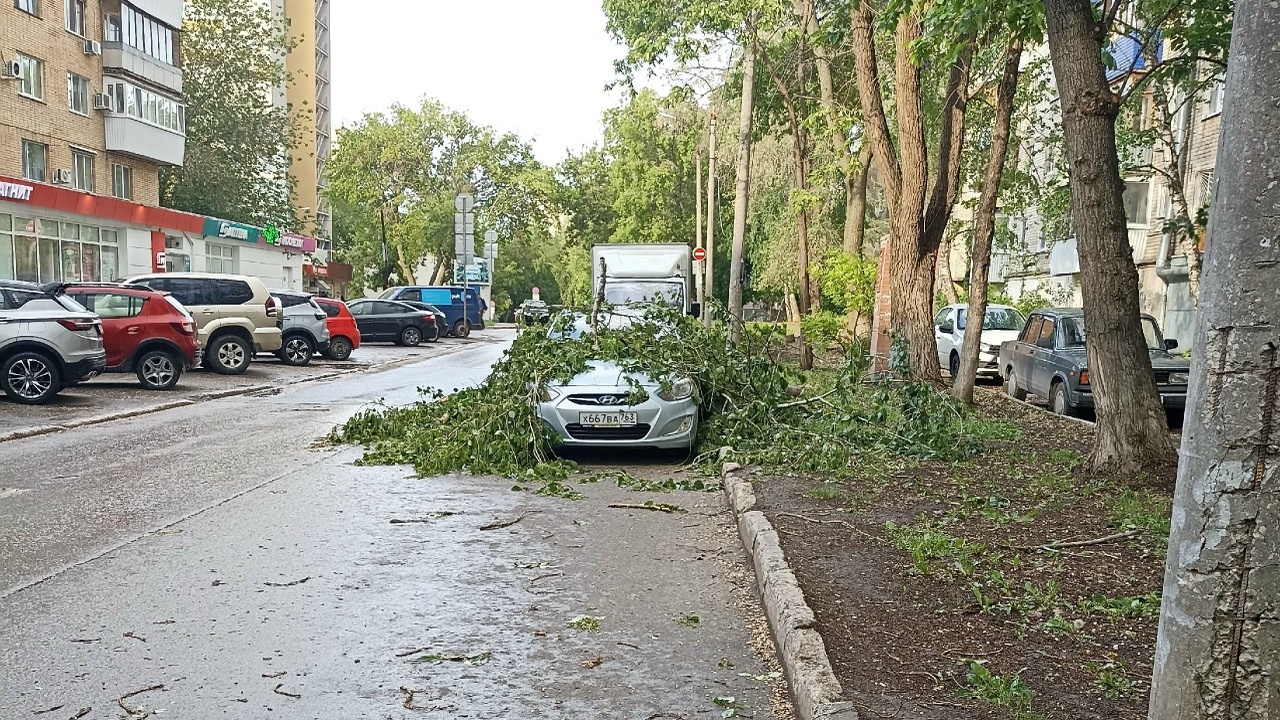 Упавшее дерево повредило автомобиль пожилого че...