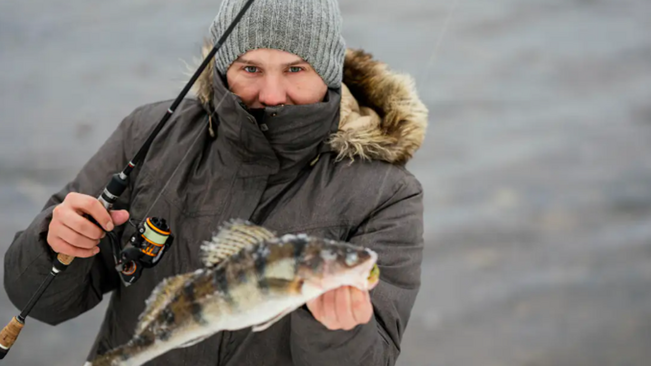 Рыбак Карпов назвал пять лучших мест для рыбалки в ноябре в Самарской области Он также напомнил о необходимых мерах безопасности