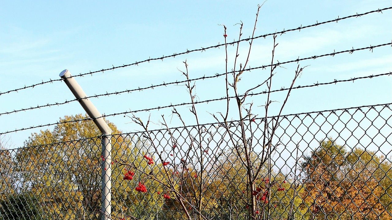 Одну из самарских туристок в США обязаны освободить до 1 апреля Вторая задержанная остается под стражей