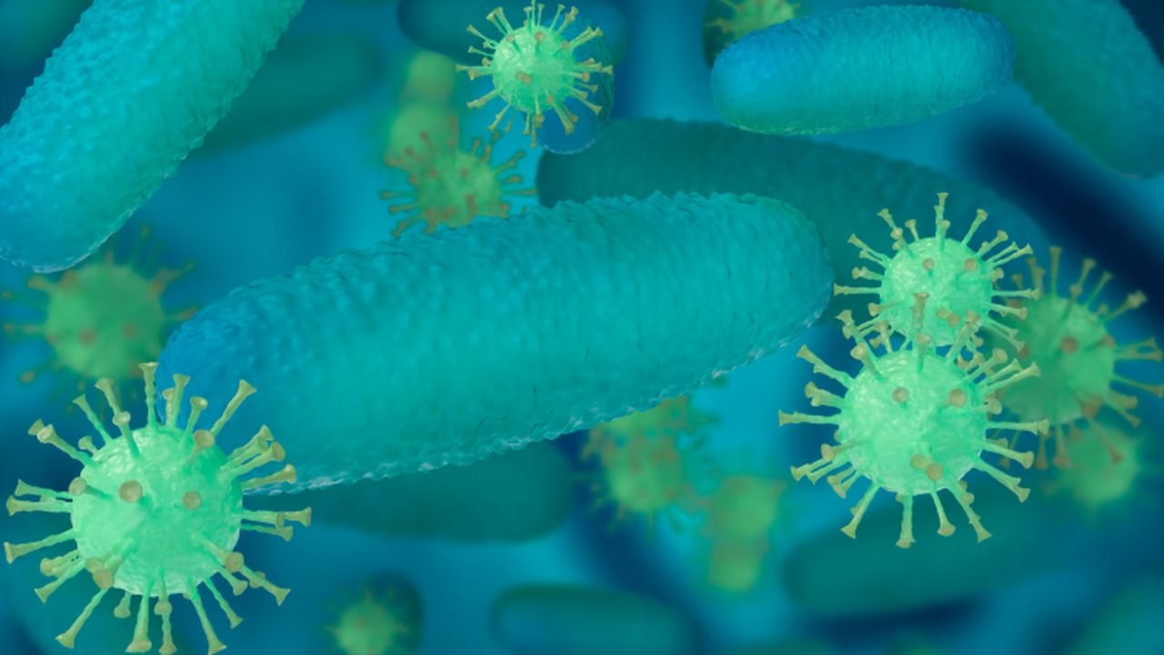 Иммунолог Наталья Калинина заявила, что не суще...