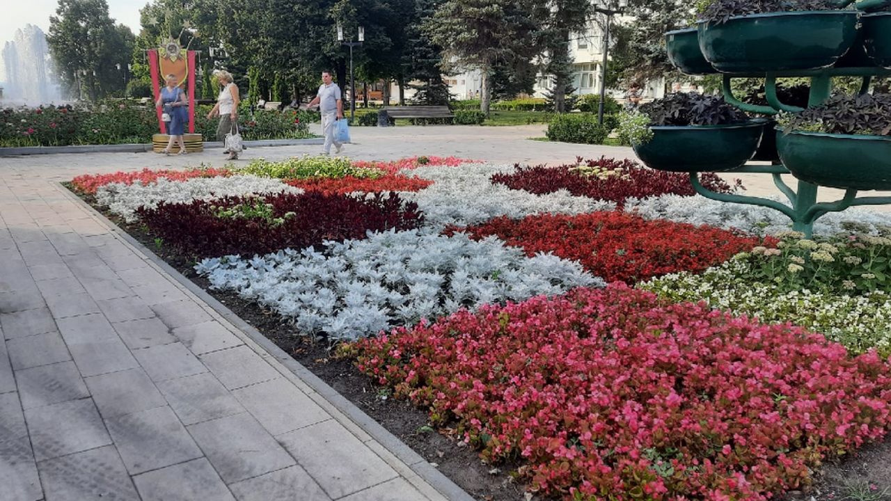 В Самаре намерены высадить цветы на сумму более...