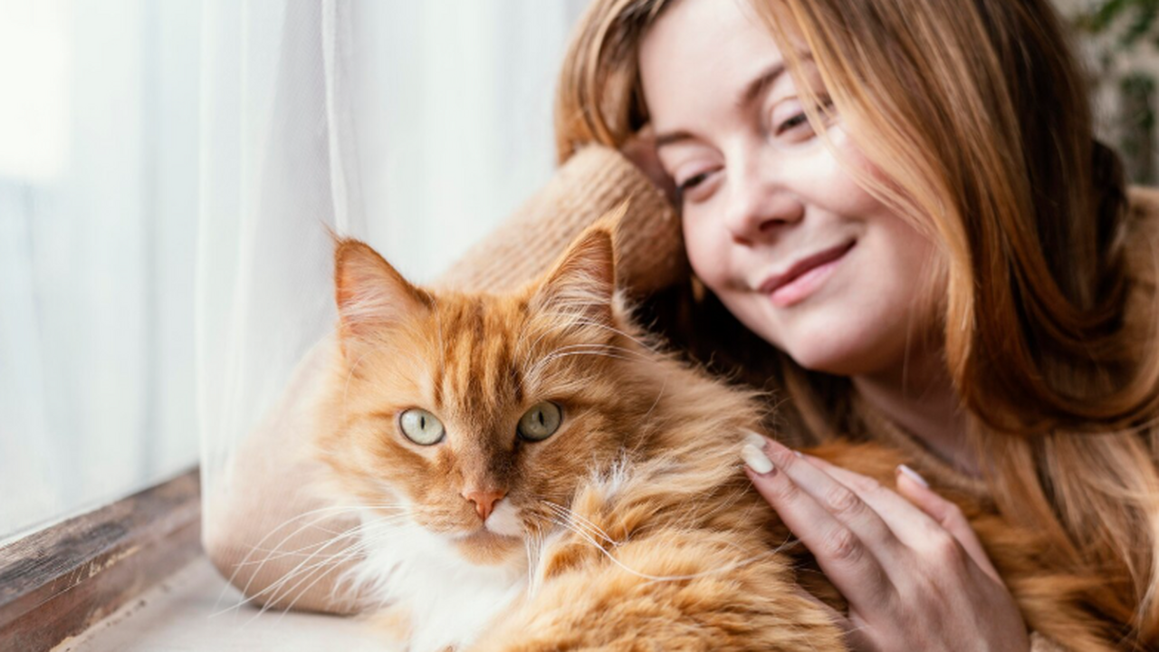 Наука выяснила: кошки по-разному встречают мужчин и женщин дома Наблюдение за тем, как кошки встречают хозяев у...