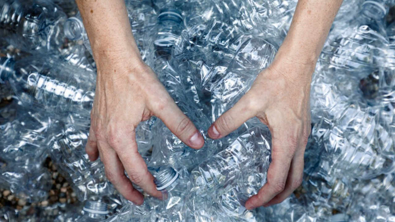 Результаты исследований о накоплении микропласт...