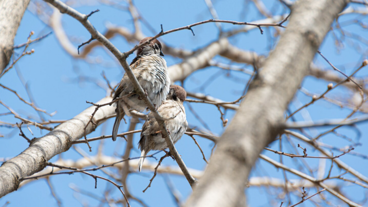 Новое исследование в The Journal of Neuroscienc...