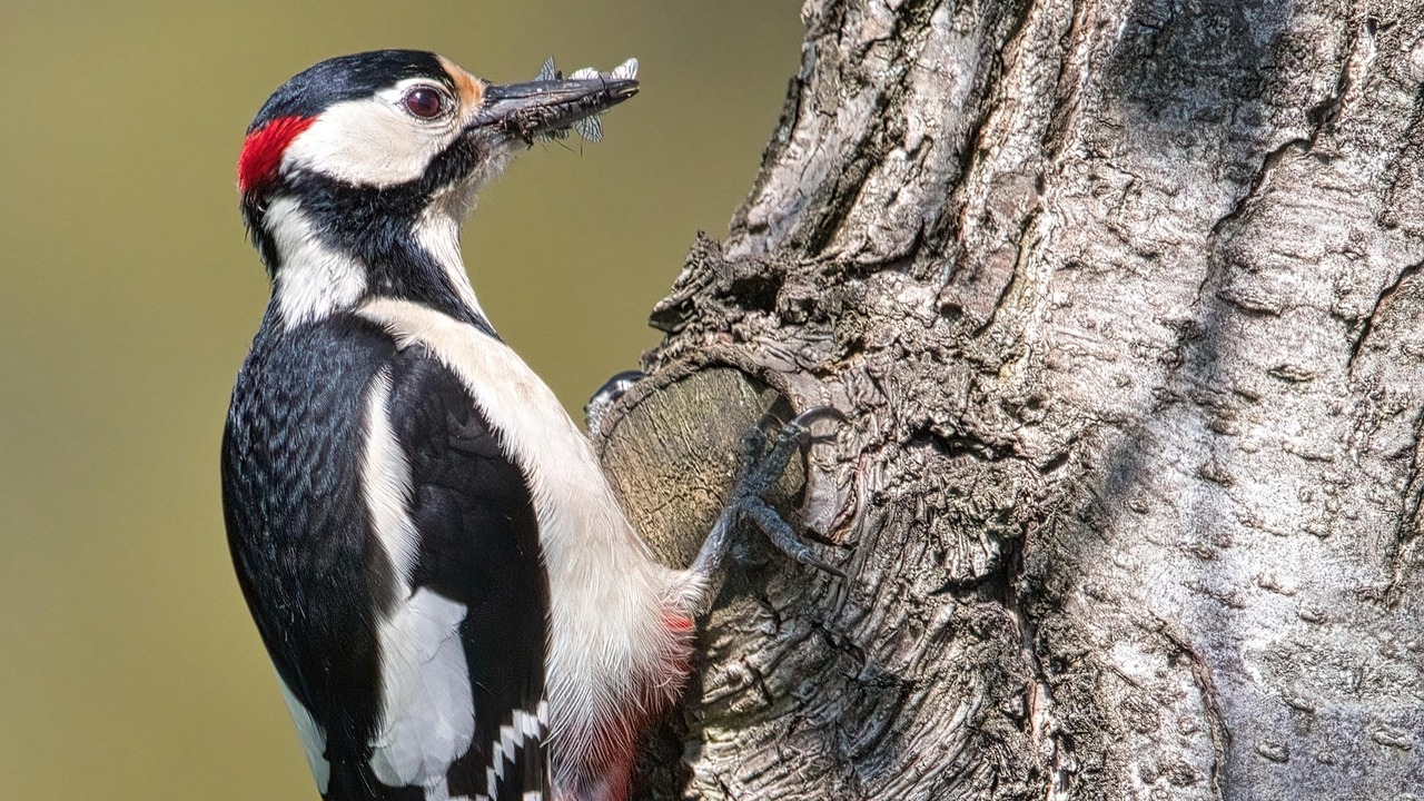 На некоторых из них почти полностью отсутствует...