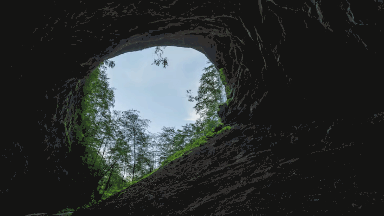 Зубы Gigantopithecus blacki из китайской пещеры...