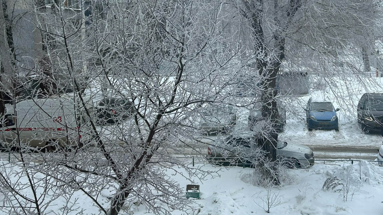 В Самарской области дневные заморозки ожидаются с 21 ноября Синоптики сообщили, что в Самаре в первой декад...