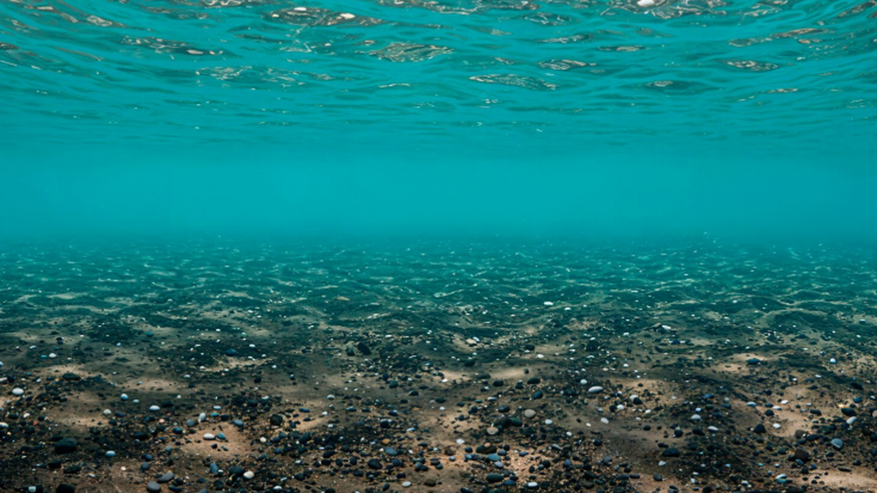 На торфяном болоте Легшемоссен к юго‑востоку от...