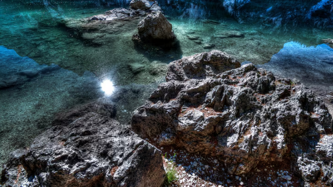 Одновременно с открытием сотен новых видов учён...