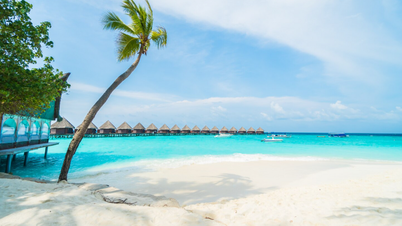 Россияне на Мальдивах сбежали от лжегида из-за ужасных условий Ноябрьская поездка на Мальдивы для группы жител...