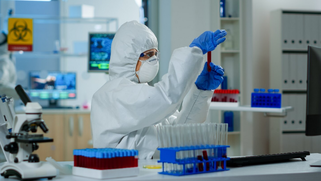 Найден новый гигантский вирус Ushikuvirus, который «одомашнивает» клетки амеб Японские ученые открыли Ushikuvirus, гигантский...