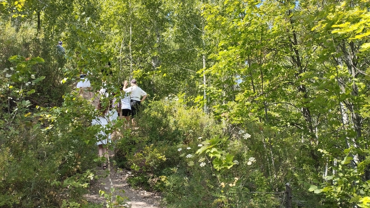 В Волжском лесничестве провели масштабную уборку В Волжском лесничестве проведена масштабная лес...