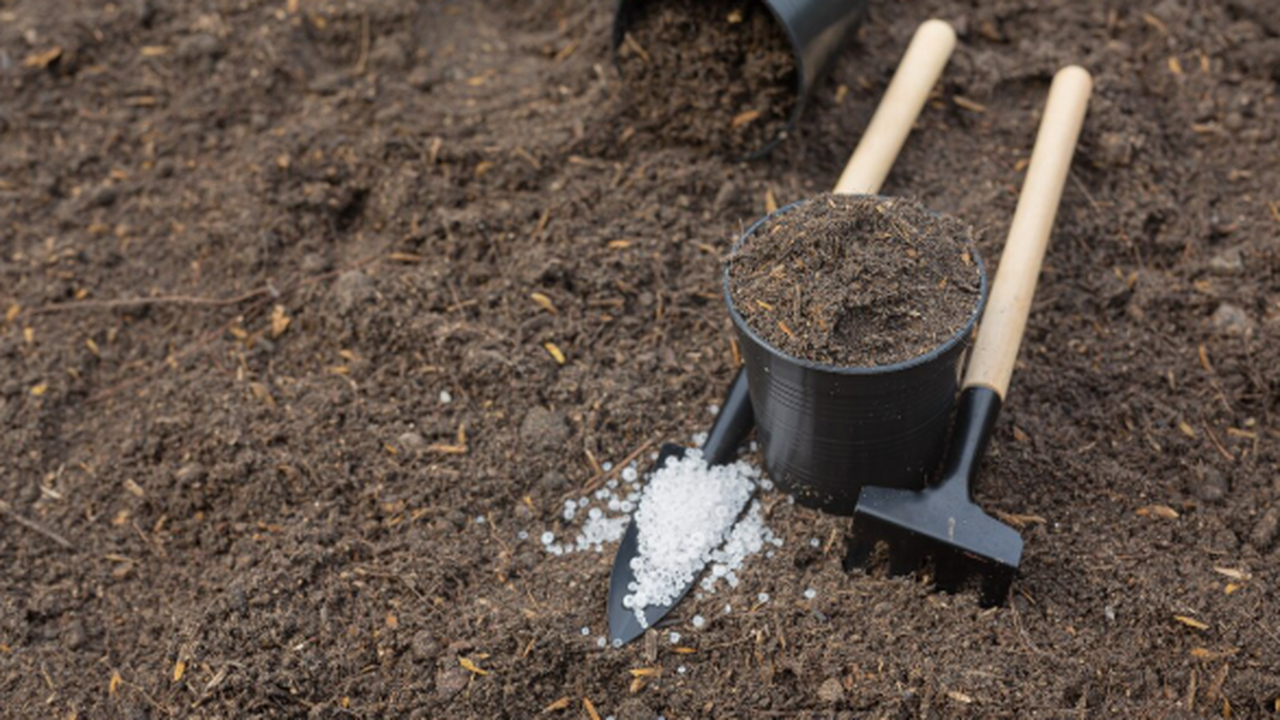 Специалисты Кабардино-Балкарского государственн...